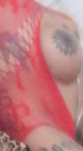 Catalina Arce