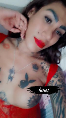 Catalina Arce