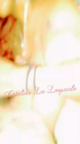 Catalina Arce