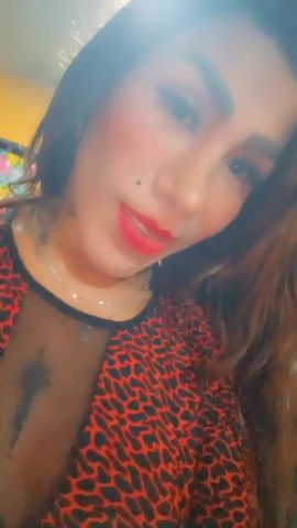 Catalina Arce