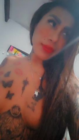 Catalina Arce