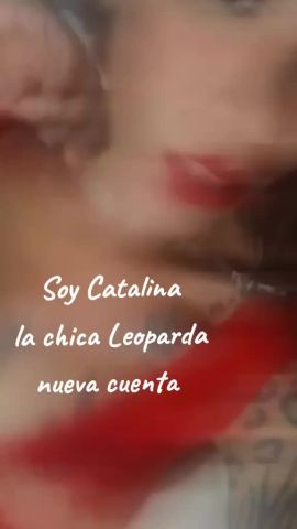 Catalina Arce