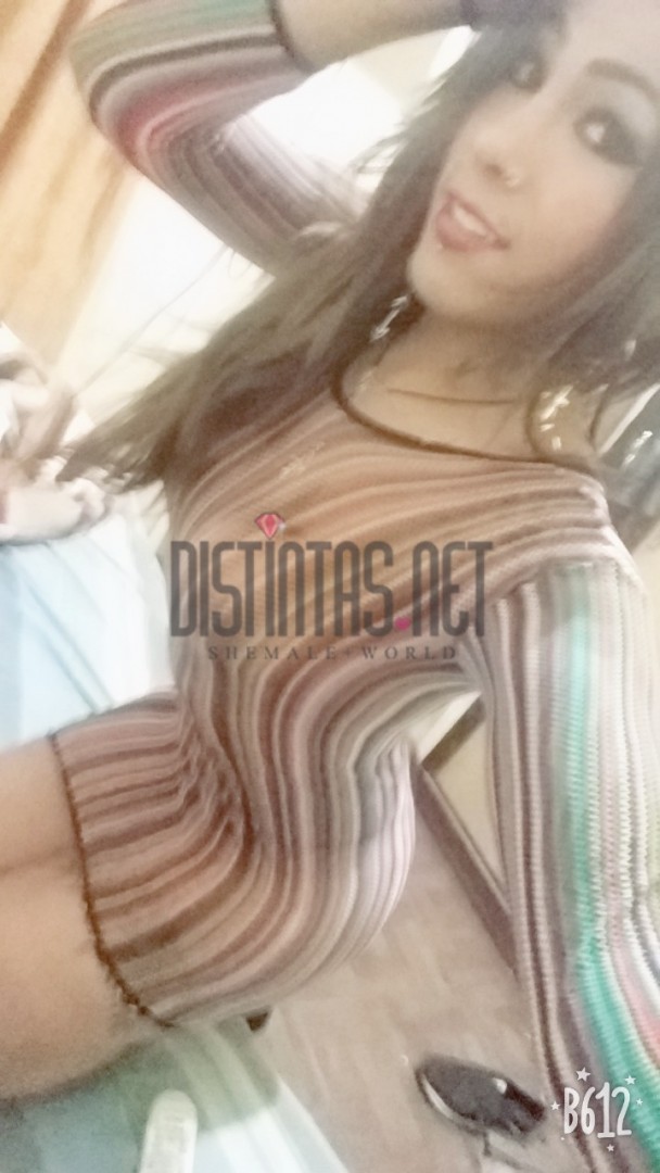 Catalina Arce
