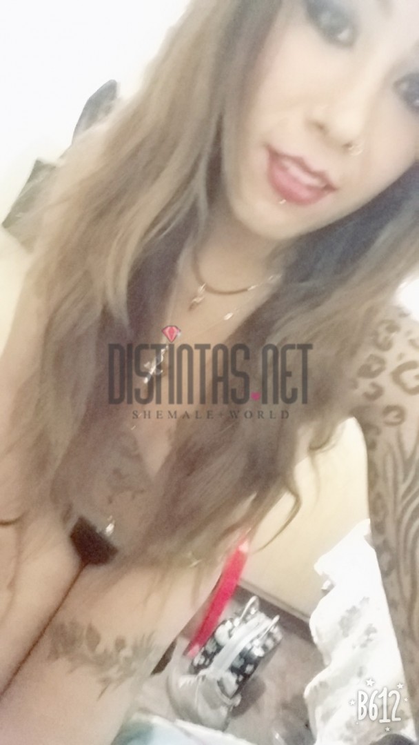 Catalina Arce