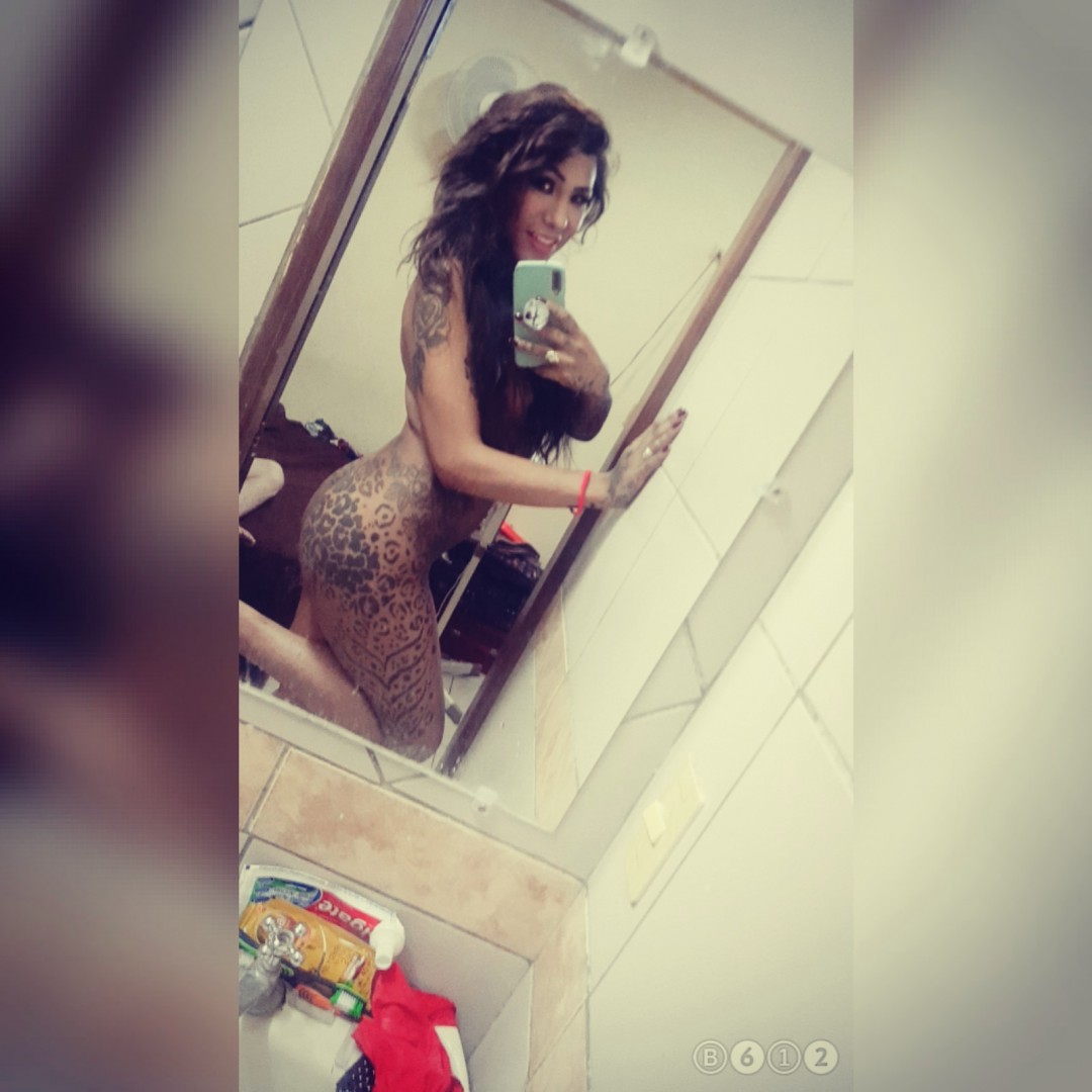 Catalina Arce