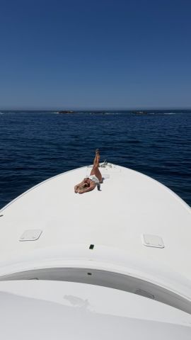 Domina Karah Darosa