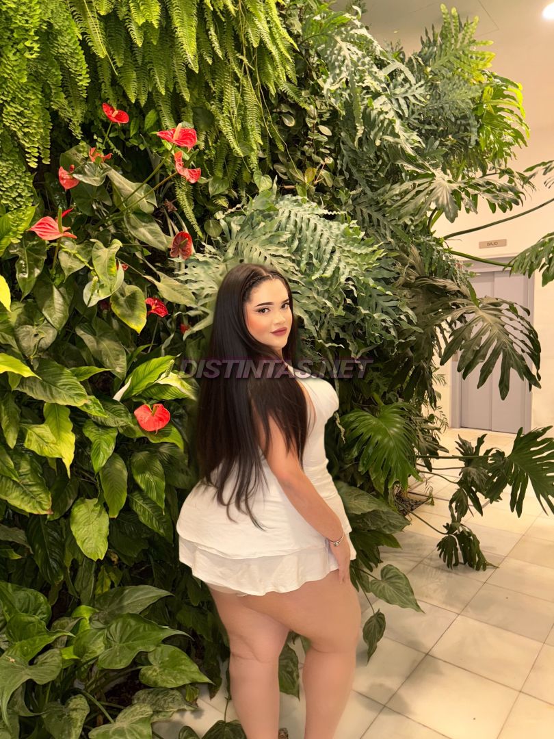 Maria Camila Party