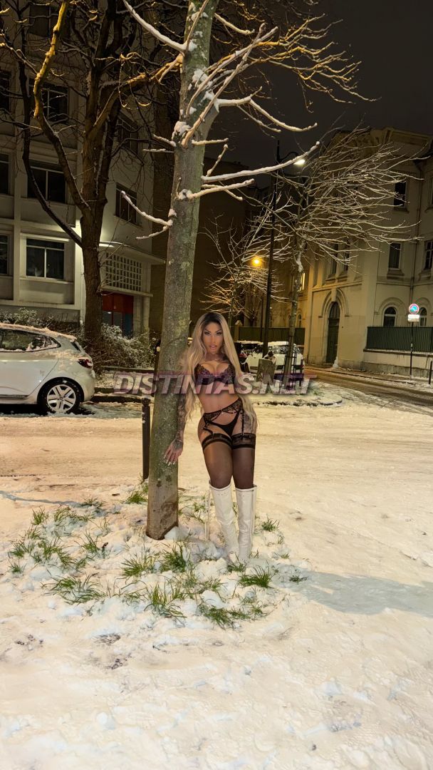 Angel Meirelles