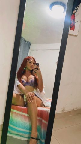 Amelia Velvet