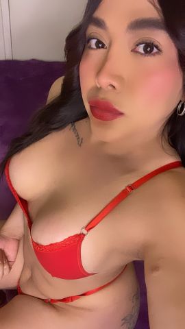Amelia Velvet