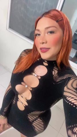 Amelia Velvet