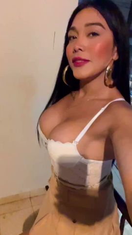 Amelia Velvet