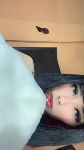 Fantasi✨