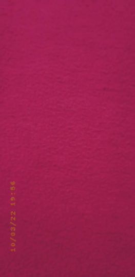 Sofia Casanova