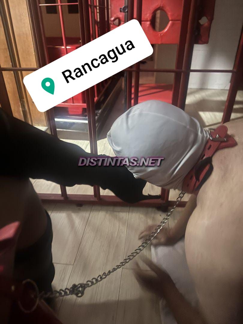 Sofi_21cm