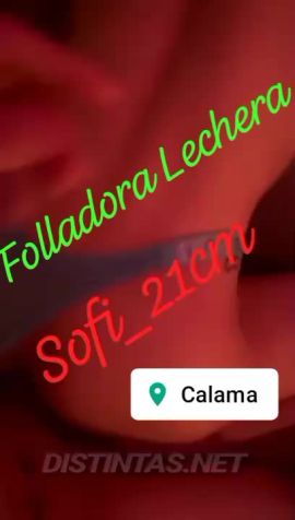 Sofi_21cm