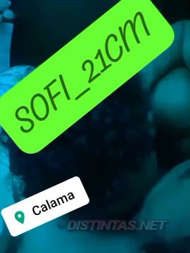 Sofi_21cm