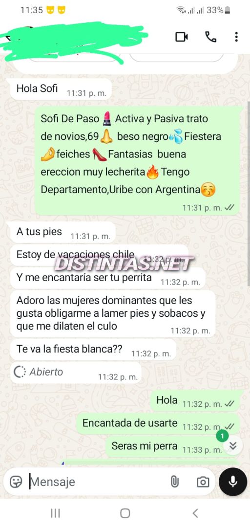 Sofi_21cm