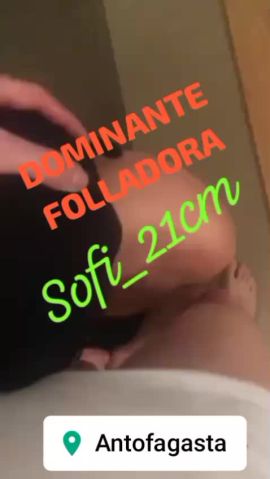 Sofi_21cm