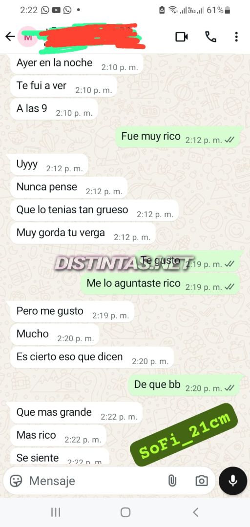 Sofi_21cm