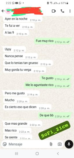 Sofi_21cm