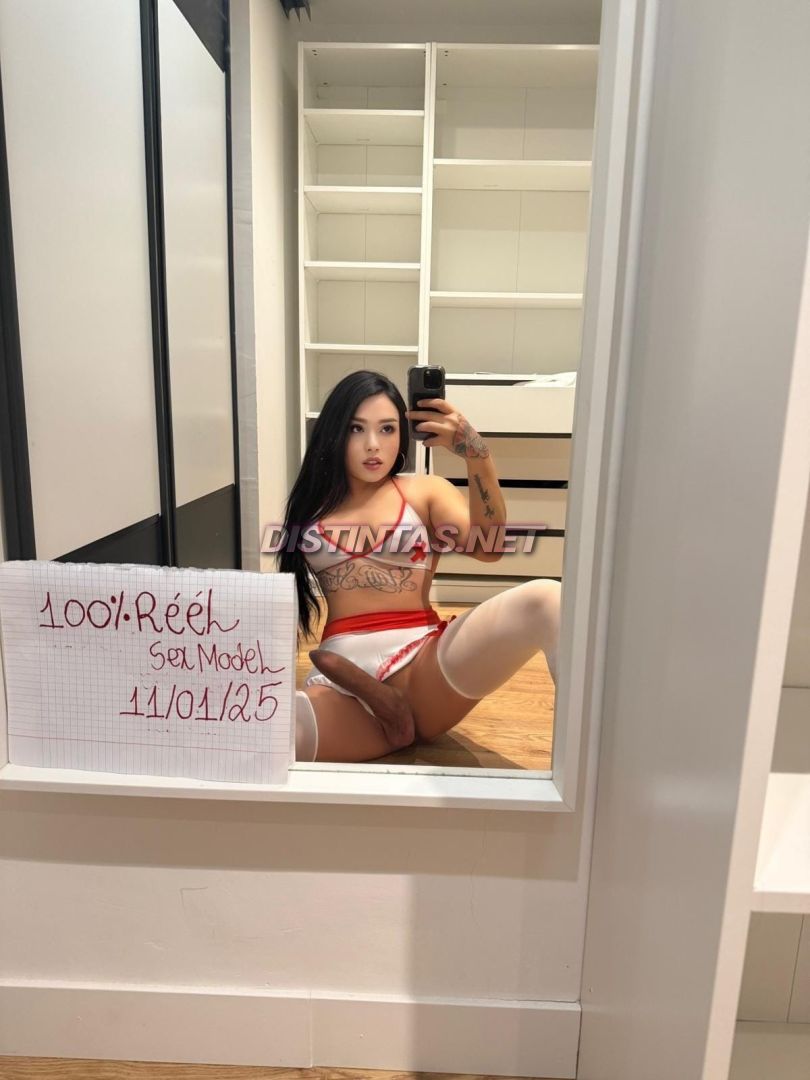 BELLE TRANS 21 CTM ARIELA