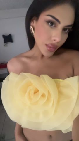 Lily Ohio