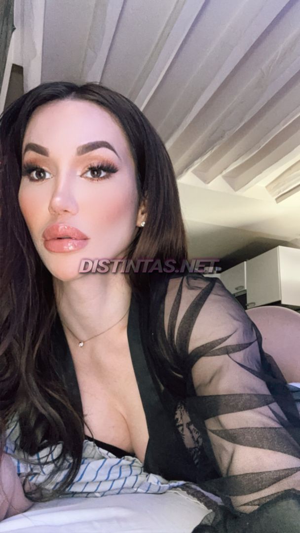 Ariel Navarro