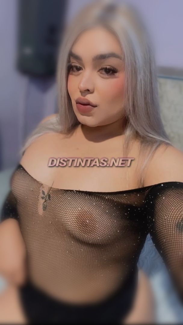 Bigsabrosa