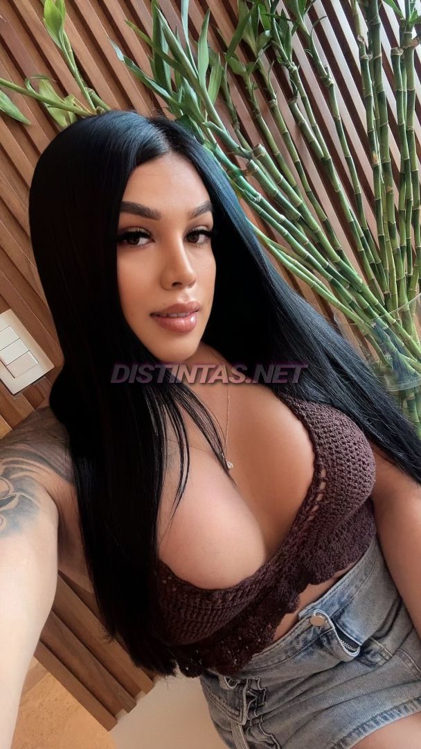 Kym vega