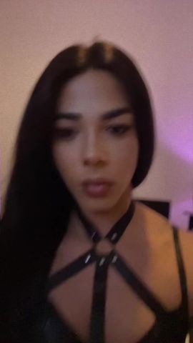 Sofia Florida