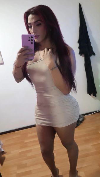 .Hola mis amores me llamo ANGELICA una linda trans que se encuentra en tu ciudad para complacer complacer todas tus fantasías soy activa y pasiva full erección super lechera y bien arrecha, ando con el culo caliente y deseoso de tener esa verga dentro de mi , hacerte mio si tu lo desea . Experta en principiantes te daré la confianza para ser penetrado sin dolor , deleitate con mi rica verga dura y arrecha. Manejo lencería , tacones , asumo el rol que quieras para ser nuestro encuentro sexual el mejor que hallas tenido en tu vida





Amanecidas

Trato de novios especial u dominante

Besos con o sin lengua

Masajes relajantes o eroticos

Oral Garganta profunda

69

Beso negro

Sexo anal

Penetracción mutua

Fetiches

Fantasías

Lluvia dorada

Juguetes

Tríos

Transformación

VEN A CONOCERME SOY FULL COMPLETO SOY UNA COLOMBIANA MUY CALIENTE MUY SEXY Y MUY ARRECHA DISPUESTA A DARTE PLACER VEN A DISFRUTAR