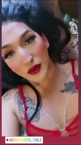 Angelica Monterrey