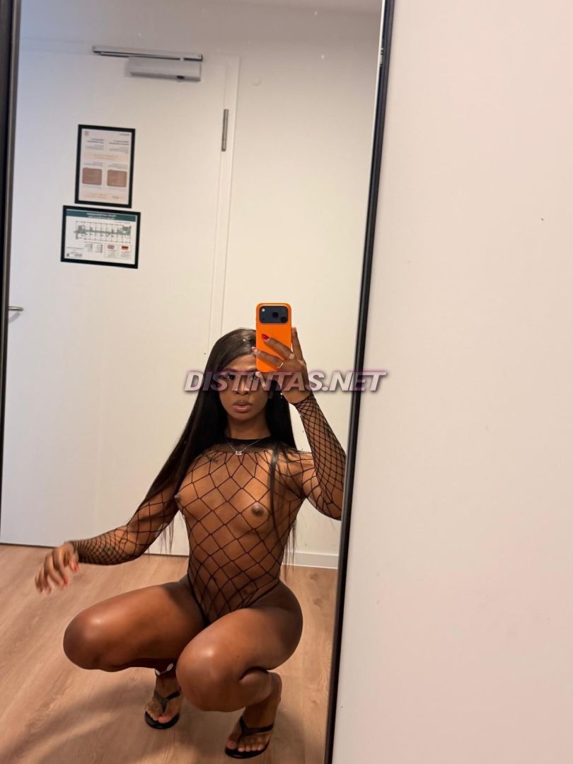 Summer XL 