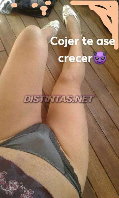 Daniela traverso 