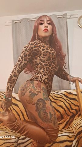 Chivirica Latina