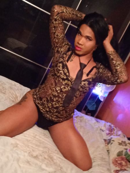 Soy una chica trans latina versátil mas activa que pasiva lista para arañarte como una pantera y castigarte con mi polla puedes escribirme sin problema también puedo ser tu puta sumisa te puedo dar un buen masaje para que te relajes antes del sexo o al terminal para que llegues a tu casa sin lechita