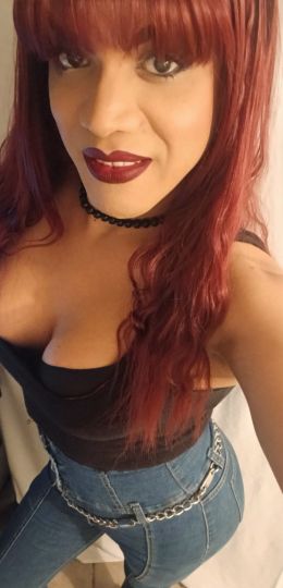 MORENITA DOTADA