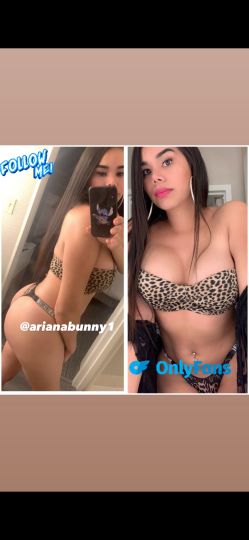 Arianna bunny