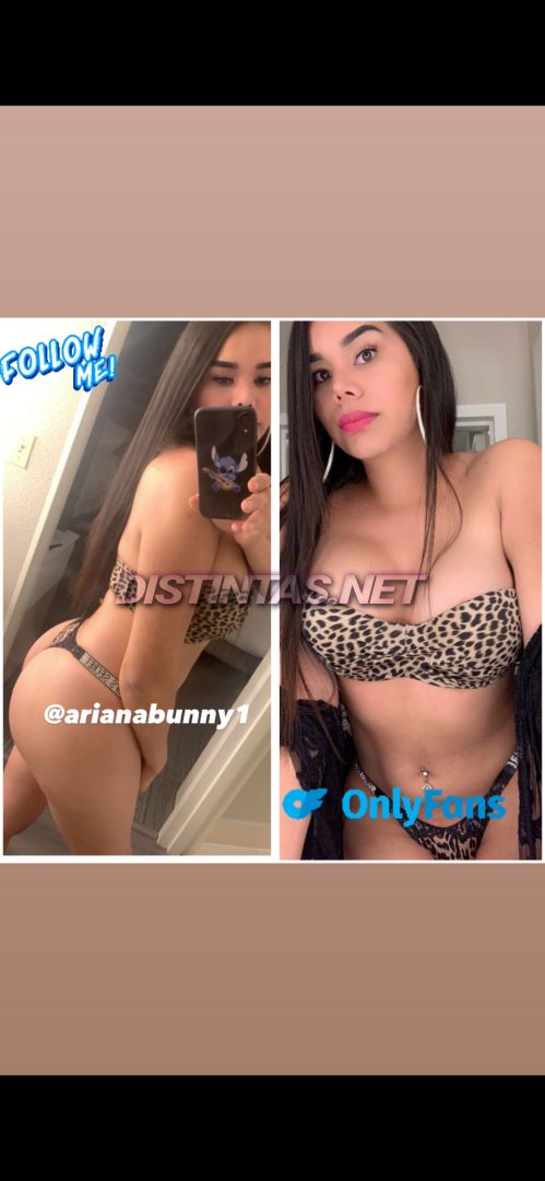 Arianna bunny