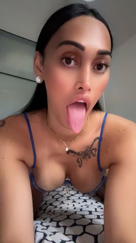 Shesy
