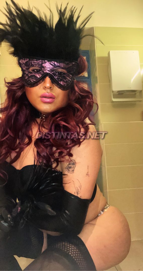 Alexaexotic