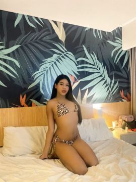 Asyana Melody