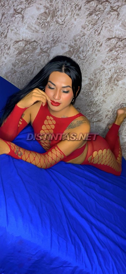 Marbe aniceto