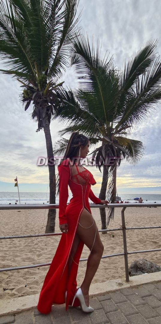 Ashley Monroy
