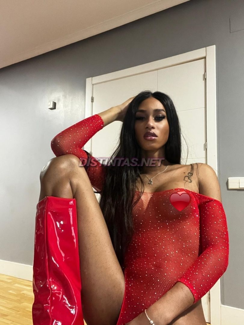 Sara Mansour