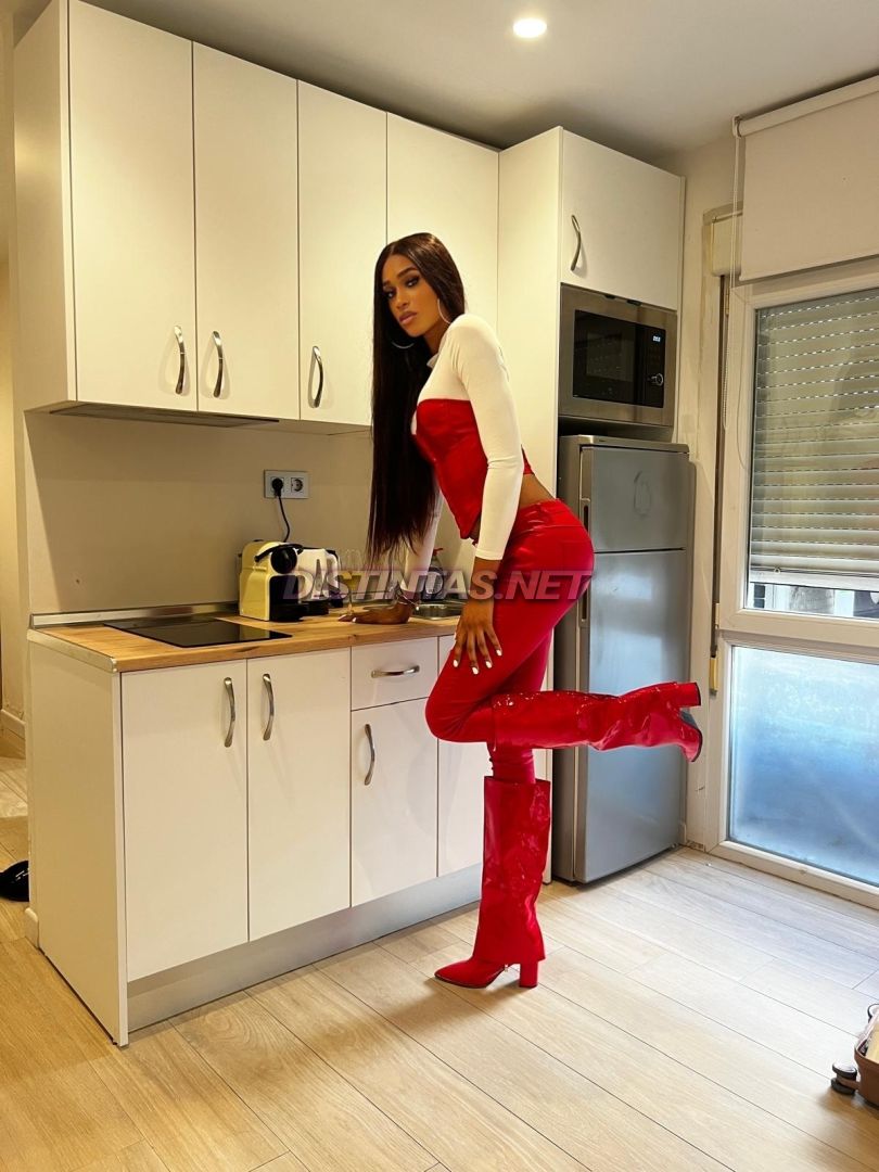 Sara Mansour