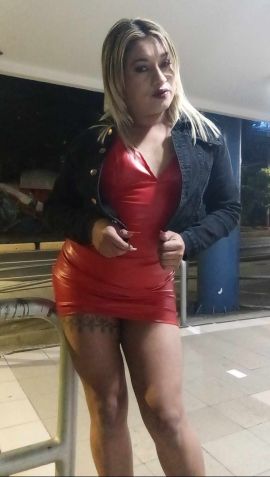 Barbie Lara