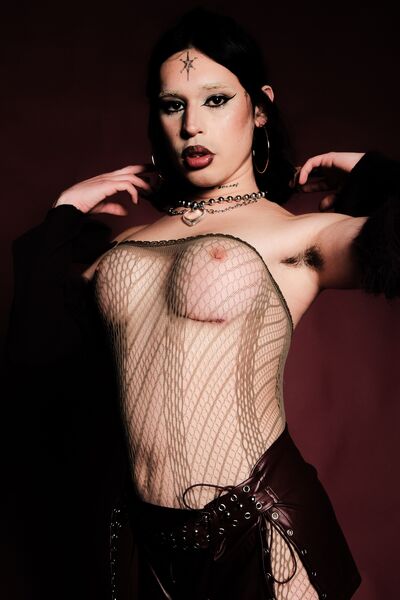 Escorts Trans Estrella  en La Plata