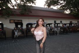 MustTry Roxanne